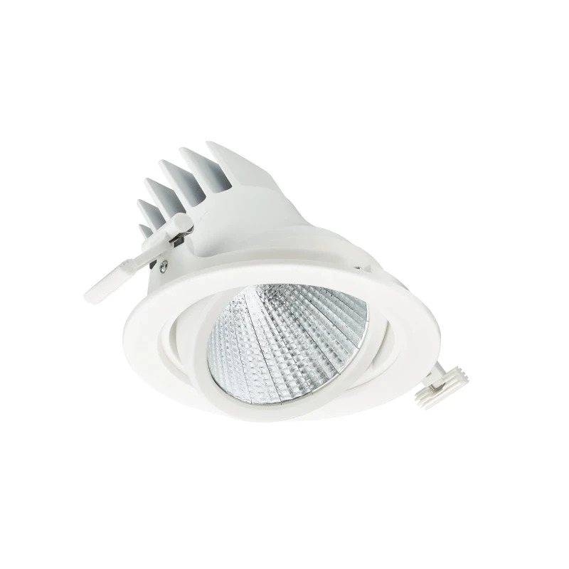 Philips LED Spot LuxSpace Accent Performance RS781B 31.5W 3900lm 36D - 830 Warm Wit | 170mm - Zigbee Dimbaar