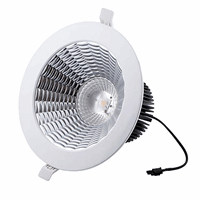 Interlight  IL-DC4260K4E LED DOWNL 230V32W 60GR 4000K